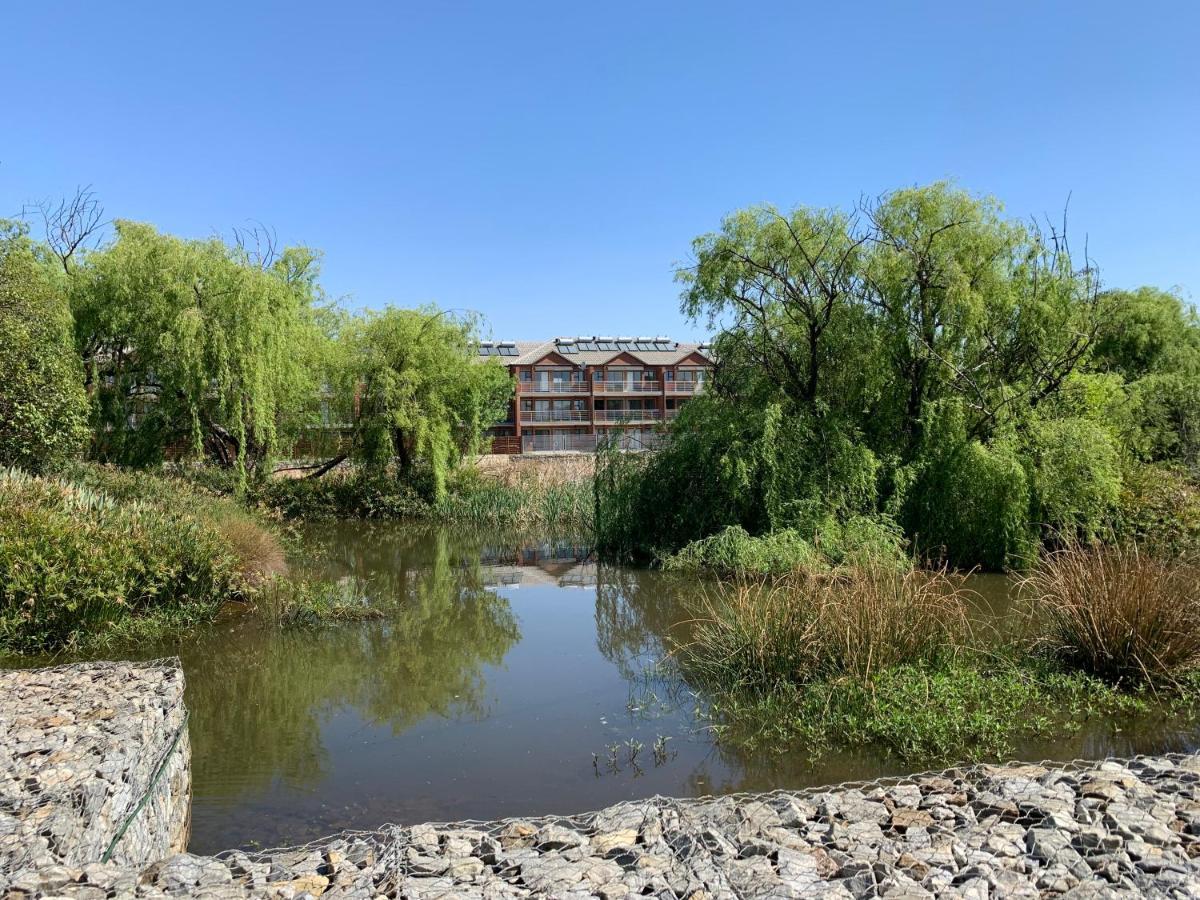 בוקסבורג Or Tambo Self Catering Apartments, The Willows מראה חיצוני תמונה